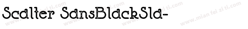 Scalter SansBlackSla字体转换